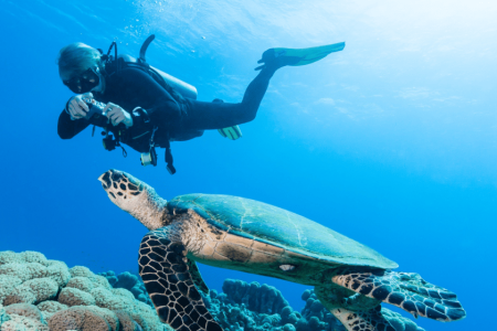 Sharm El Shiekh: Ras Muhammed & White Island By Boat & intro Dive