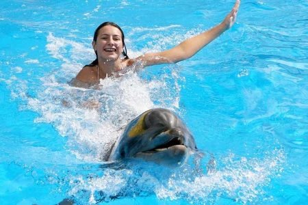 Swimming and Photo Session with Dolphins in Hurghada