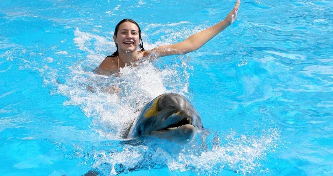 Swimming and Photo Session with Dolphins in Hurghada